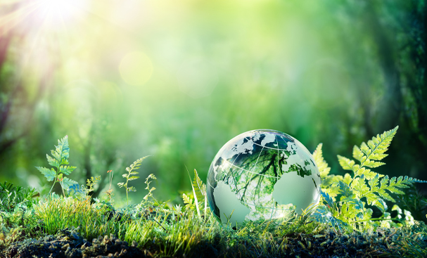 Essentials of Sustainability