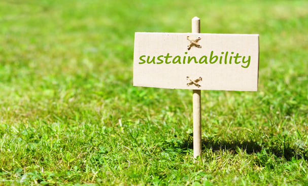 Mastering Sustainability & Business