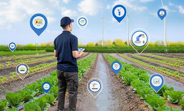 Basics of Supply Chain Sustainability in Agriculture