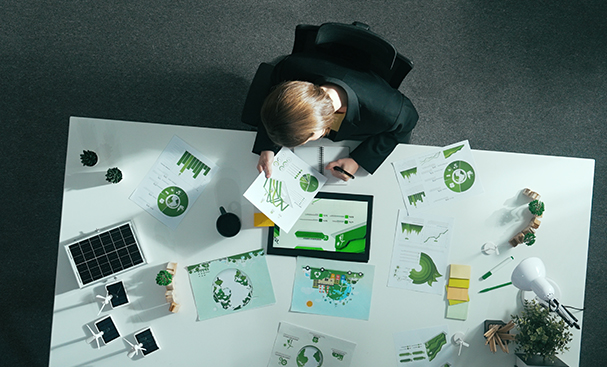Mastering Sustainable Environmental Impact Assessment
