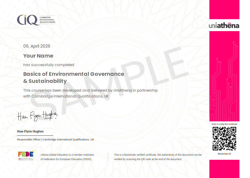 Basics of Environmental Governance & Sustainability Sample Certificate