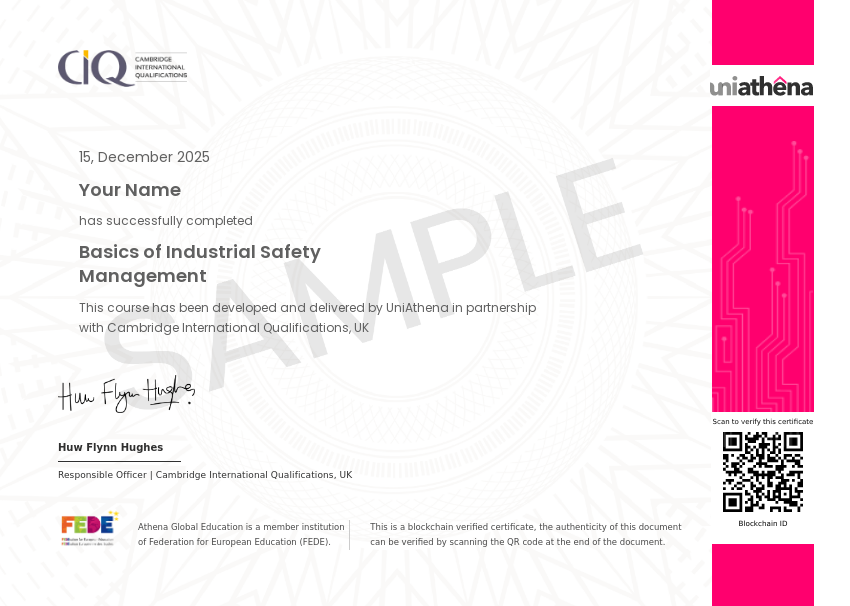 Basics of Industrial Safety Management Sample Certificate