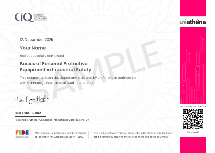 Basics of Personal Protective Equipment in Industrial Safety Sample Certificate