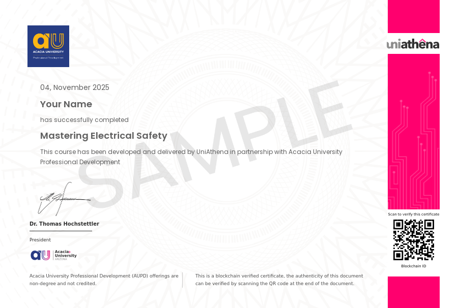 Mastering Electrical Safety Sample Certificate